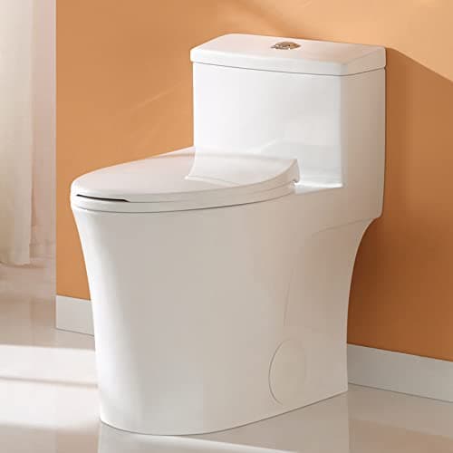 HOROW T0338W Recensione: Water Compatcto ADA per Anziani