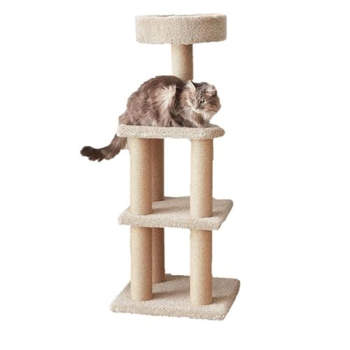 Amazon Basics Cat Tree Tower Review: A Practical 3-Week Hands-On Test