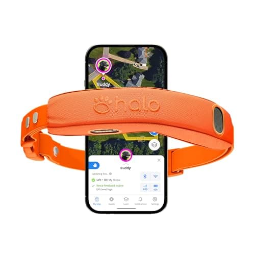 Halo Collar 5 Review – Real GPS Accuracy and Wireless Freedom for Dogs