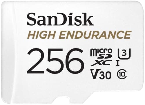 Scheda SD Sandisk High Endurance 256GB per videosorveglianza domestica