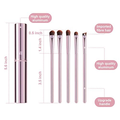 5Pcs Eye Makeup Brush Set, Portable Eyeshadow brushes, Eyeliner Brush, Angled Brush Eyebrow Brushes Lip Brush Small Concealer Brush with Case (pink).