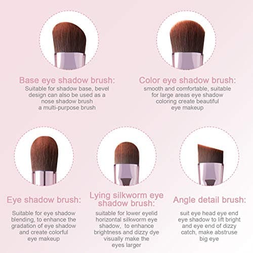 5Pcs Eye Makeup Brush Set, Portable Eyeshadow brushes, Eyeliner Brush, Angled Brush Eyebrow Brushes Lip Brush Small Concealer Brush with Case (pink).