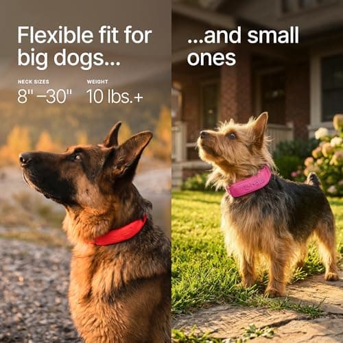 Halo Collar 5 Wireless Dog Fence & GPS Dog Collar, Keep Your Dog Safely Contained Outdoors with App-Controlled Boundaries and Real-Time Tracking, One Size, Blaze
